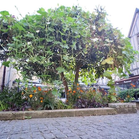 דירות קאין Le Perroquet Fringant, Rue Pietonne Et Quartier Historique מראה חיצוני תמונה